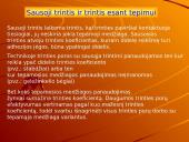 Trinties jėga fizikoje 10 puslapis