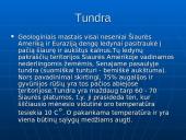 Tundros gyvūnija ir klimatas 3 puslapis