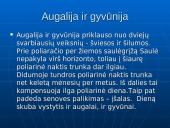 Tundros gyvūnija ir klimatas 4 puslapis