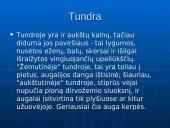 Tundros gyvūnija ir klimatas 5 puslapis