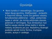Tundros gyvūnija ir klimatas 7 puslapis