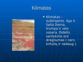 Tundros gyvūnija ir klimatas 8 puslapis