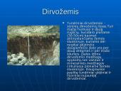 Tundros gyvūnija ir klimatas 9 puslapis