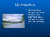 Tundros gyvūnija ir klimatas 10 puslapis