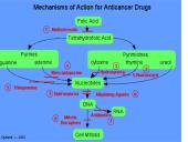 Vaistai skirti vėžio gydymui 3 puslapis