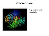 Vaistai skirti vėžio gydymui 4 puslapis