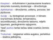 Vandens būklė 11 puslapis