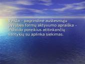 Veiklos apibūdinimas. Žmogaus aktyvumas 2 puslapis