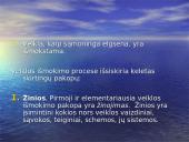 Veiklos apibūdinimas. Žmogaus aktyvumas 7 puslapis