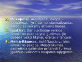 Veiklos apibūdinimas. Žmogaus aktyvumas 8 puslapis