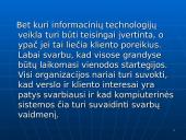 Verslo informacinės sistemos 16 puslapis