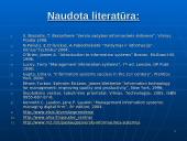 Verslo informacinės sistemos 17 puslapis