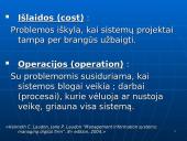 Verslo informacinės sistemos 7 puslapis