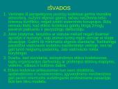 Viešojo administravimo etikos kodeksai 11 puslapis