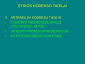 Viešojo administravimo etikos kodeksai 7 puslapis