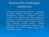 Viešos kalbos rengimo ypatumai. Iliustracinės medžiagos pateikimas. Interviu organizavimo principai 12 puslapis