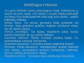 Viešos kalbos rengimo ypatumai. Iliustracinės medžiagos pateikimas. Interviu organizavimo principai 7 puslapis