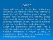 Viešos kalbos rengimo ypatumai. Iliustracinės medžiagos pateikimas. Interviu organizavimo principai 8 puslapis