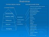 Vilkaviškio rajono savivaldybės Finansų ir biudžeto skyriaus valdymo praktika 11 puslapis