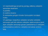 Vilkaviškio rajono savivaldybės Finansų ir biudžeto skyriaus valdymo praktika 12 puslapis