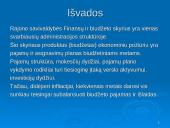 Vilkaviškio rajono savivaldybės Finansų ir biudžeto skyriaus valdymo praktika 17 puslapis