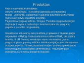 Vilkaviškio rajono savivaldybės Finansų ir biudžeto skyriaus valdymo praktika 2 puslapis
