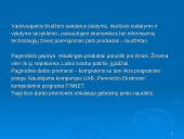 Vilkaviškio rajono savivaldybės Finansų ir biudžeto skyriaus valdymo praktika 3 puslapis