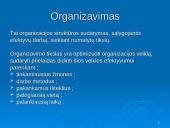 Vilkaviškio rajono savivaldybės Finansų ir biudžeto skyriaus valdymo praktika 9 puslapis