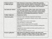 Vilniaus kolegija 13 puslapis