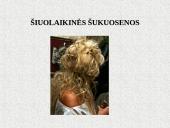 Vilniaus kolegija 14 puslapis