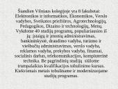 Vilniaus kolegija 4 puslapis