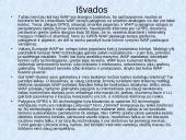 WAP technologijos raida 11 puslapis
