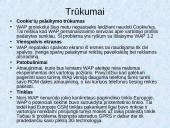 WAP technologijos raida 8 puslapis