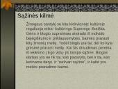 Zigmundas Froidas 13 puslapis