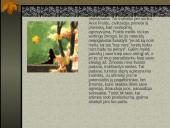 Zigmundas Froidas 15 puslapis