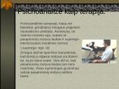 Zigmundas Froidas 3 puslapis