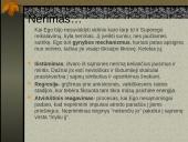 Zigmundas Froidas 8 puslapis