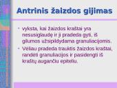 Žaizdų priežiūra 12 puslapis