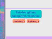 Žaizdų priežiūra 13 puslapis