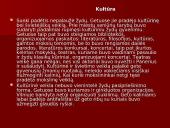 Žydų gyvenimas Lietuvoje 8 puslapis