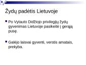 Žydų socialinė padėtis Lietuvos Didžiojoje Kunigaikštystėje (LDK) 10 puslapis