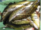 Žvejybos ypatumai 6 puslapis