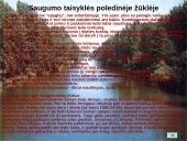 Žvejybos ypatumai 8 puslapis