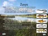 Žvejybos ypatumai 9 puslapis