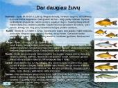 Žvejybos ypatumai 10 puslapis