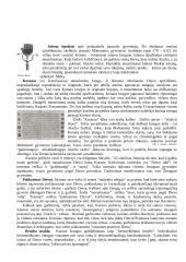 Islamo religija pasaulyje 2 puslapis