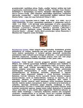 Italija ir jos sostinė 3 puslapis