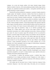 Šilokarčema 2 puslapis