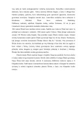 Šilokarčema 15 puslapis