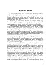 Atmosfera 4 puslapis